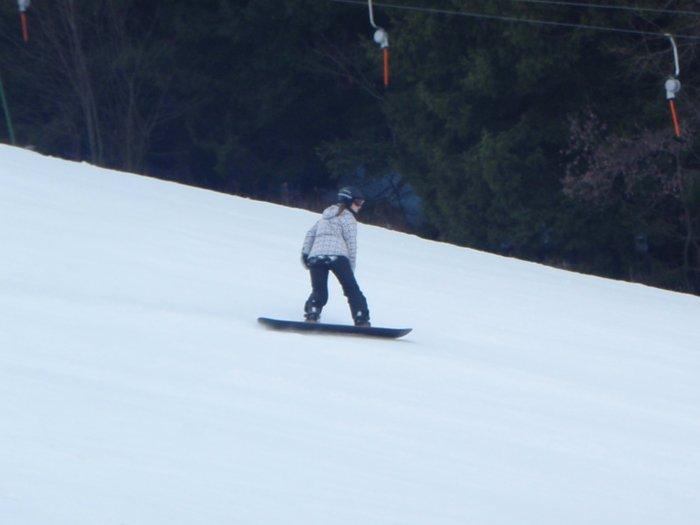 P2050377.jpg - Nii..